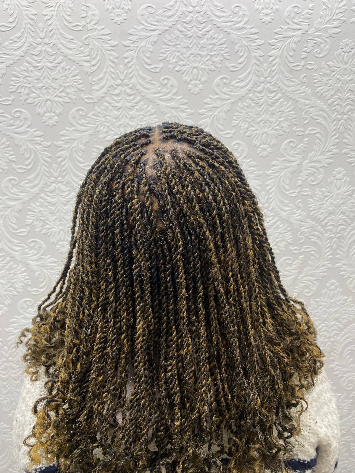 Passion twists in honey blonde, back view
