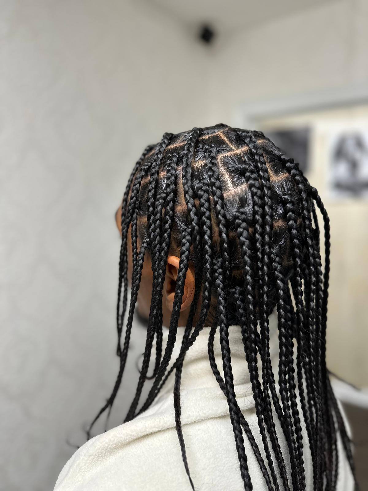 Small knotless braids installed to the back